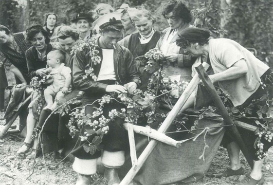 Hop picking in Kent was a much-needed holiday in the fresh air and a way to earn some extra cash. Here we have Nobby' Dewsett (the sailor) with the Audley and Dewsett families of Brunel Road, c.1940.  X..png