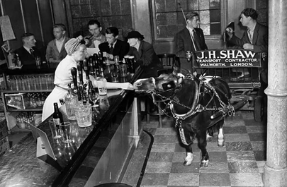 Surrey Square, The Surrey Arms Pub, 1952. John Shaw and his pony Felbridge Flash.  X..png