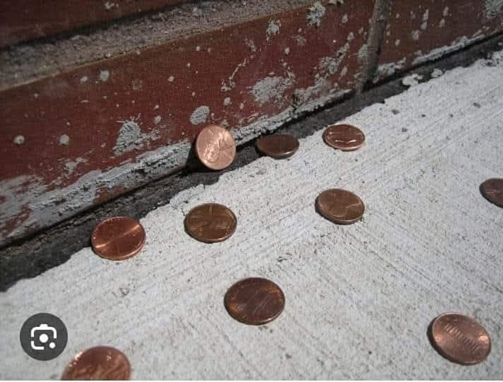 Penny up the wall, we also done this with Fag Cards.  X.png