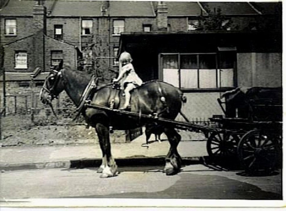 Mason Street in the late 40s, The family horse outside the prefab that the owners lived in. X..jpg