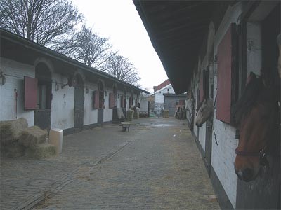 Bricklayers arms stables, Catlin Street.jpg