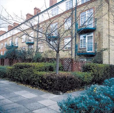 REDRIFF ESTATE . In 2006 these flats looked like this Regeneration can be the answer..jpg
