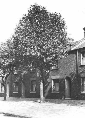 Southwark Park Road. Rotherhithe 1935.White plaque on wall boundary Bermondsey-- Rotherhithe..jpg