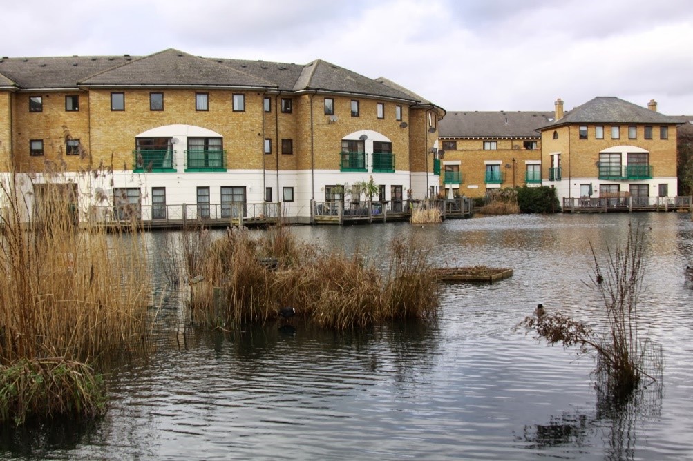 Norway Dock, today is occupied by the development known as The Lakes. X.jpg