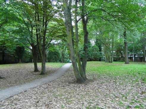 Film Adventure in the Hopfields, 1954, Ralph Street. This is what it looks like in 2018,now known as Dickens Fields.jpg