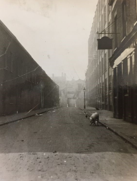 Alice Street looking from Rothsay Street with Jolly Tanners Pub on the corner.jpg