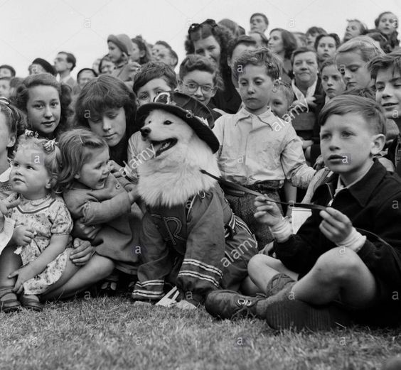 Southwark Park Bermondsey, dog show June 1953.jpg