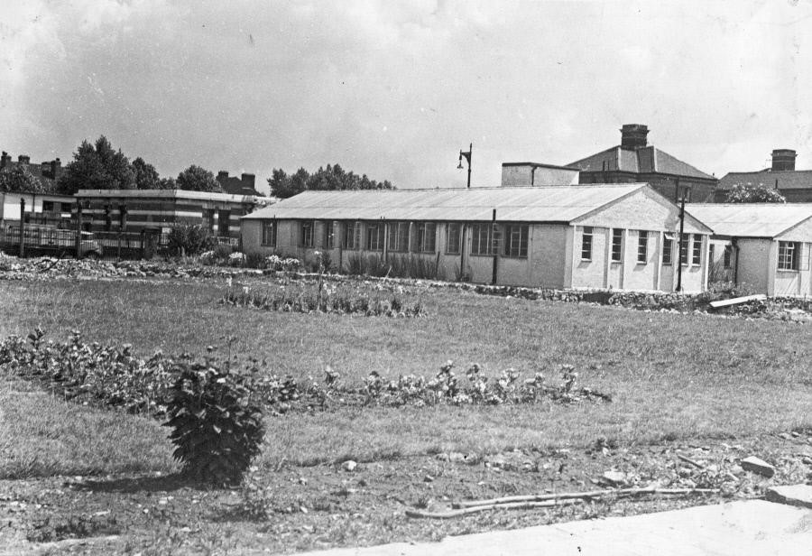 lower Road (Great Hall). Bombed site after being planted with lawn and flower beds. 1951..jpg