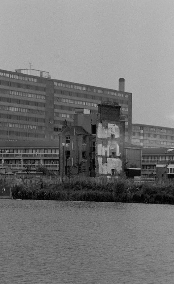 Albany Road.The Lake in Burgess Park  X.jpg