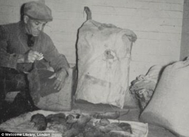 A rat catcher displays the number of rodents he has caught in and around the slums of Bermondsey,1957.  X.png