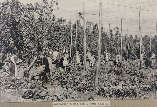 Beltring Hop Farm, Paddock Wood.  X.png