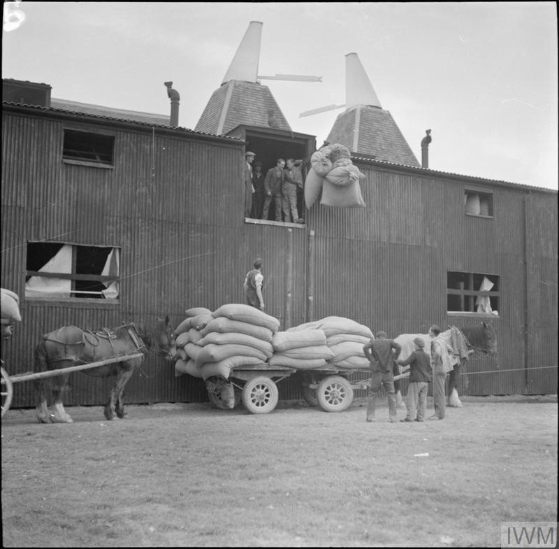 Yalding Hop Farm, Kent.  X.jpg