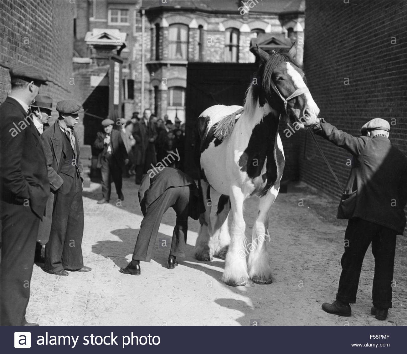 Elephant and Castle, Horse Auction about 1947.jpg
