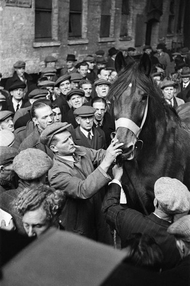 Horse Auction,New Kent Road,c1947..jpg
